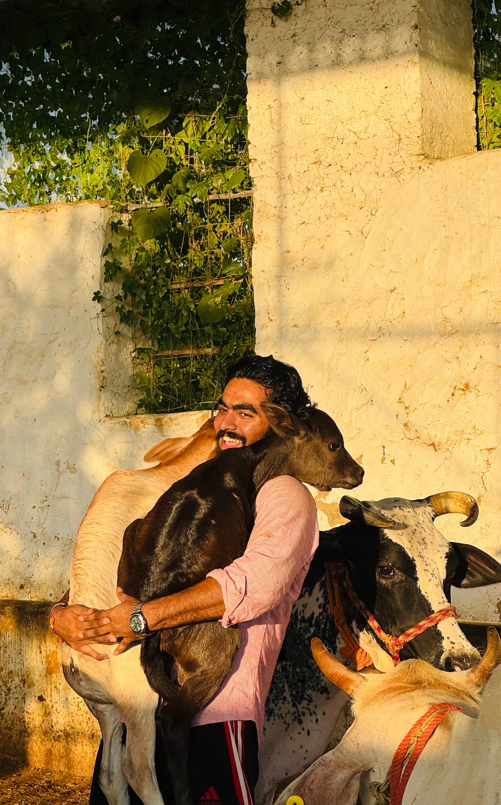 Founder with rescued animals